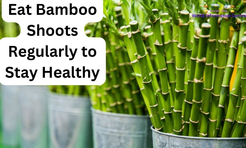 Eat Bamboo Shoots Regularly to Stay Healthy