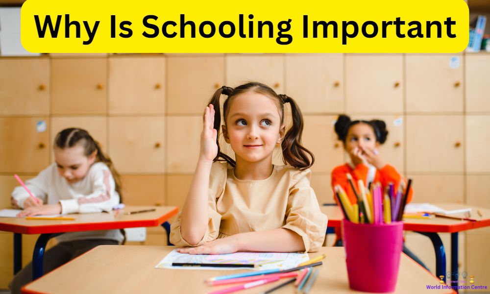 Why Is Schooling Important