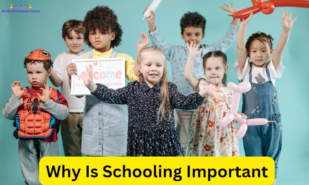 Why Is Schooling Important